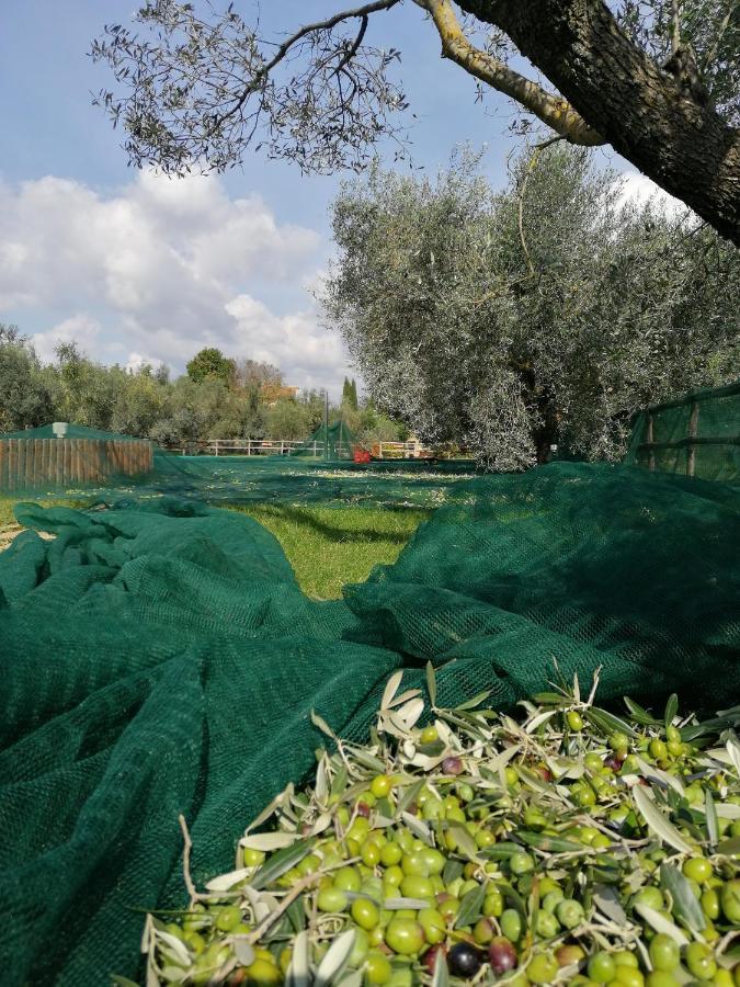 Il Podere Di Sole Roccastrada Eksteriør bilde