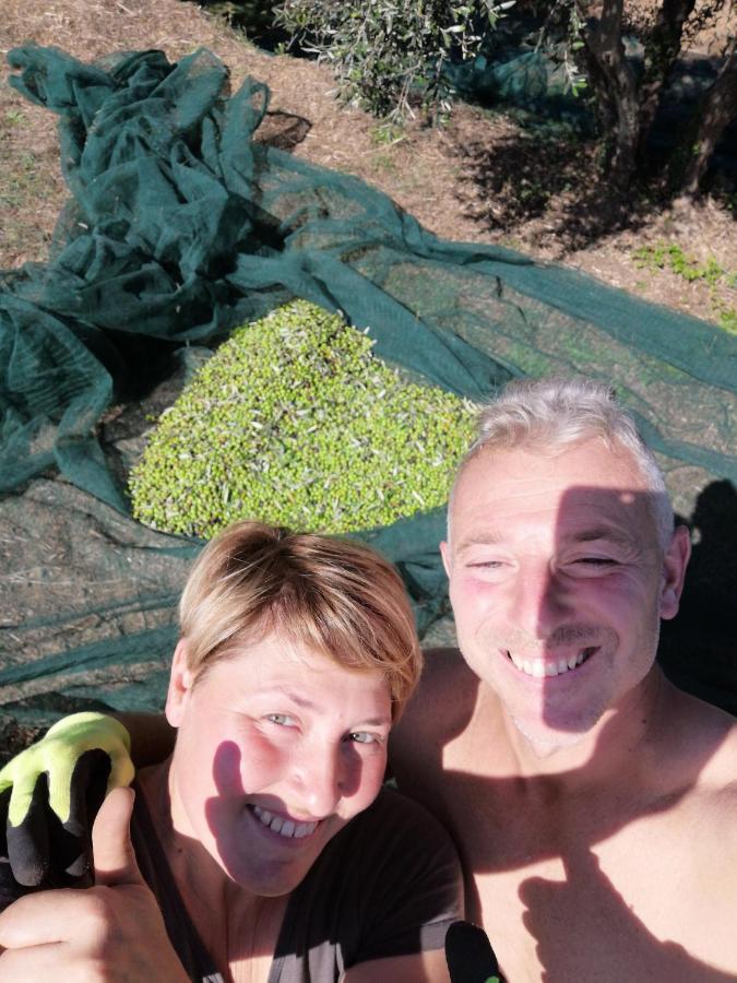 Il Podere Di Sole Roccastrada Eksteriør bilde