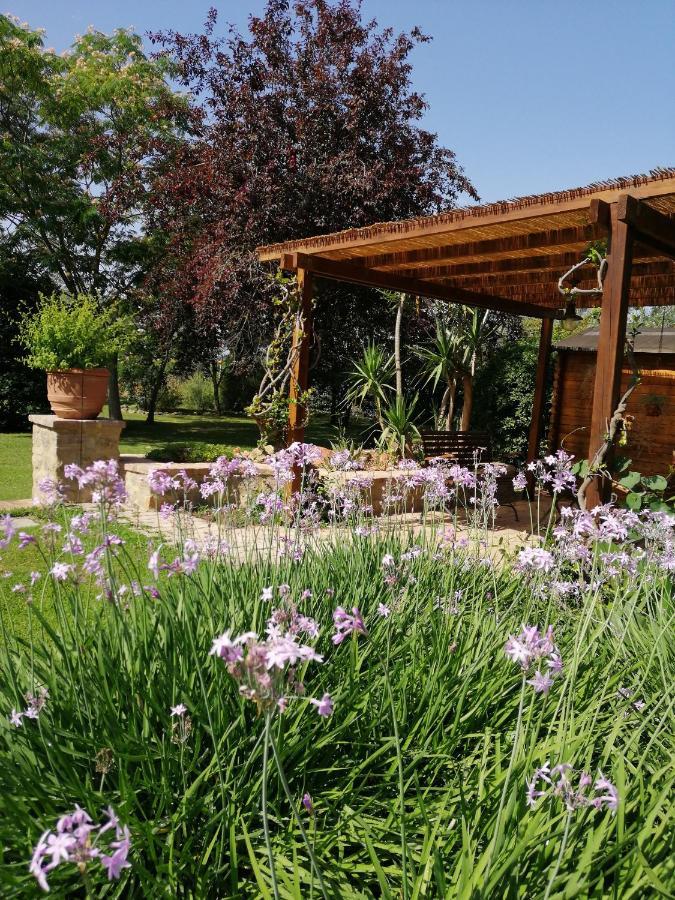 Il Podere Di Sole Roccastrada Eksteriør bilde