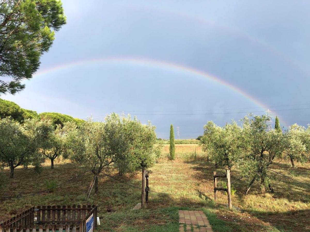 Il Podere Di Sole Roccastrada Eksteriør bilde