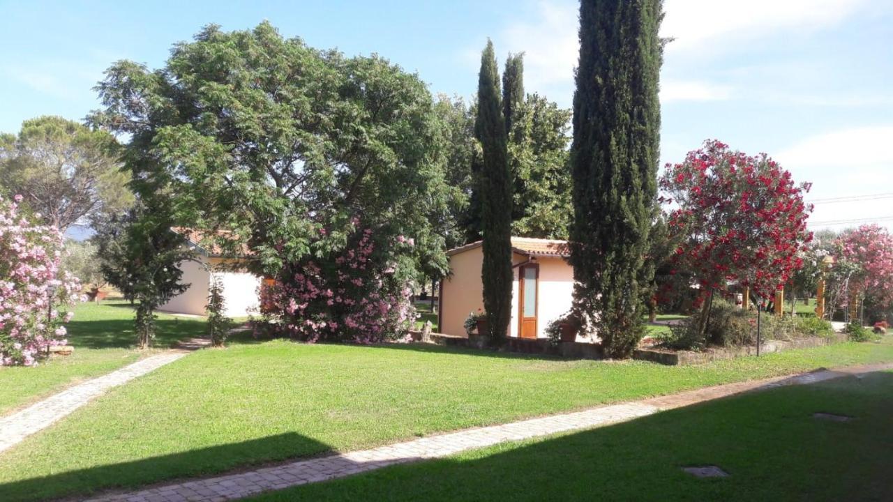Il Podere Di Sole Roccastrada Eksteriør bilde